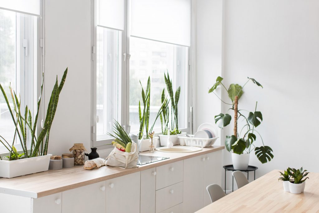 Cuisine blanche avec des plantes